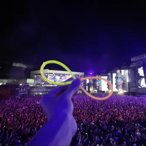 Frequency Festival 2024